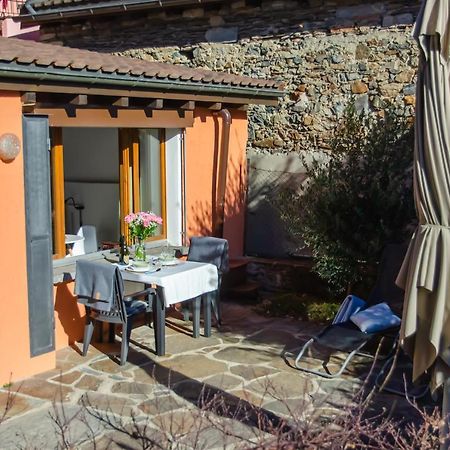 Rustico Al Sole - Just Renewed 1Bedroom Home In Ronco Sopra Ascona Dış mekan fotoğraf